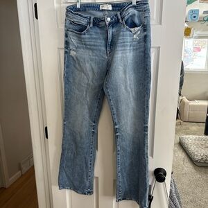 BKE Women's Straight Leg Jeans in Light Blue
